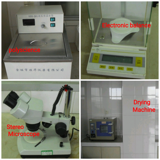 Aanpassing Vloeibare smaak Geconcentreerd vers kiwi ijs smaak Voor het produceren van ijs 13
