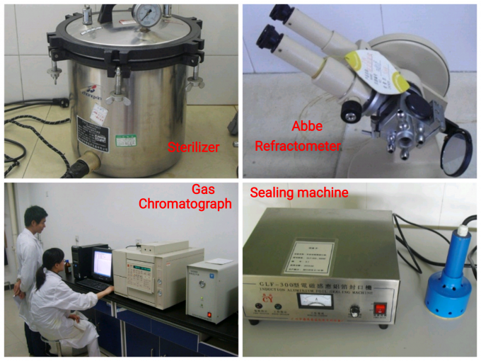 100% Pure Ananas Kaars Geur Druiven Kaars Wax Geur 9