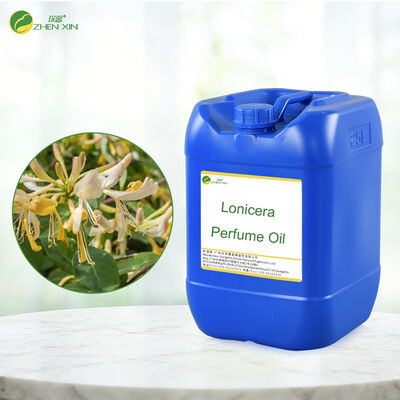 Luxury Designer Arabian Perfume Private Label Perfume Fragrance Roll on Perfume Oil Concentrate Perfume Fragrance Wholesale