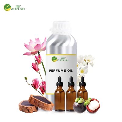 Wholesale Price Luxury Fragrance Woman Perfume Essential Private Label Perfume