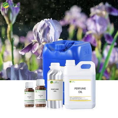 Langdurige Etherische Olie Parfum Groothandel Bulk Designer Arabische Parfum Olie Bulk Lichaamsolie Parfums voor Dames Groothandel