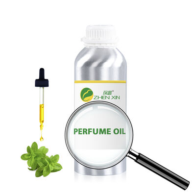 Luxe Arabische Parfumolie Mannen Geur Merk Parfum Geur Groothandel Designer Geïnspireerd Midden-Oosten Parfum Geur Olie Voor Mannen