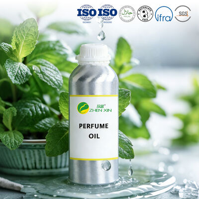 Eco Friendly Brand Parfum Oil Langdurig Parfum Geur Groothandel